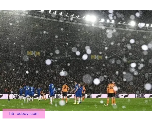 切尔西战赫尔城歧视口号者被捕